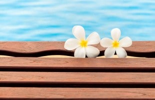 Two tropical white flowers on a wooden above ground pool deck